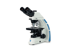 Kaca pembesar dan mikroskop Ajcope